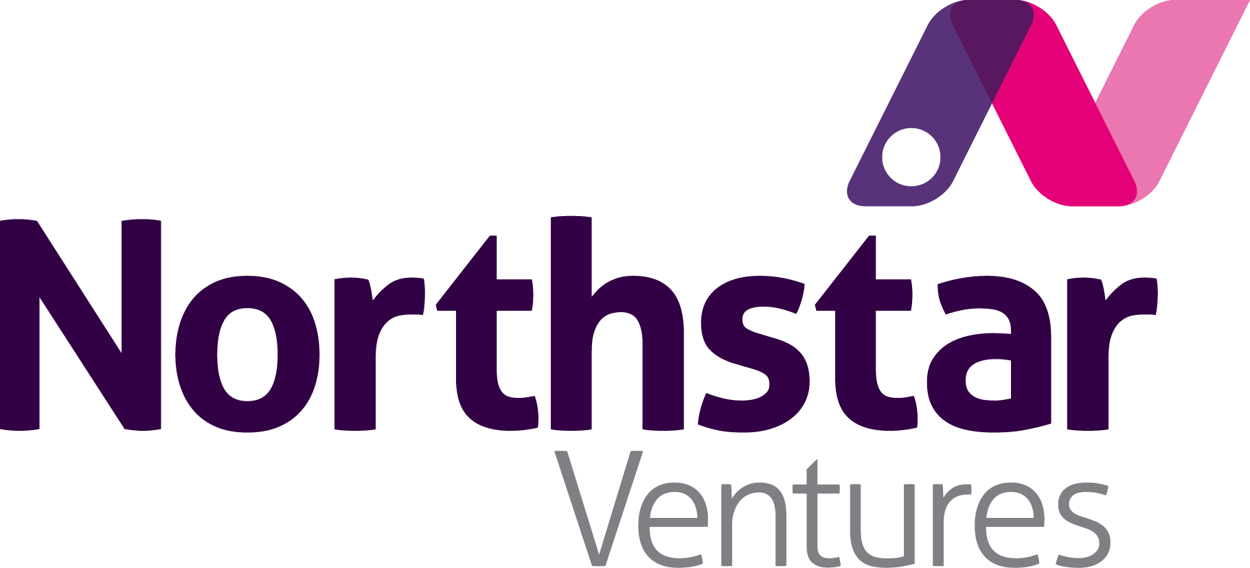 Northstar Ventures logo